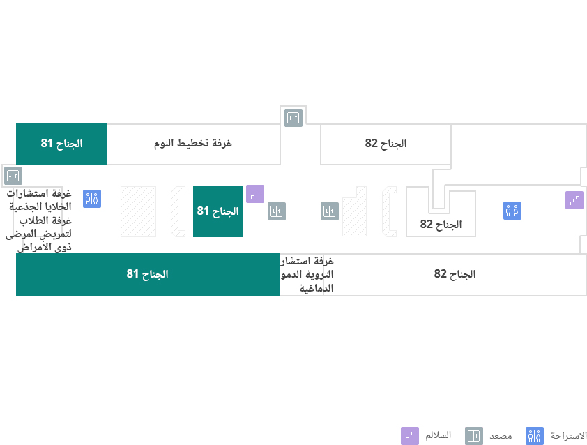 81 الجناح